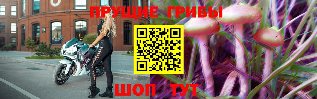 Галлюциногенные грибы Psilocybine cubensis Туапсе